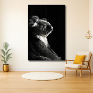 Koala in het donker