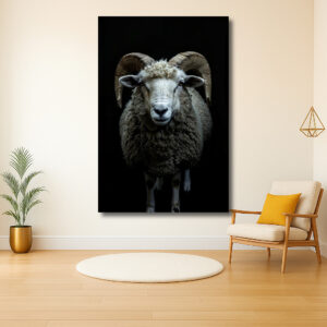 Majestueus schaap in het donker