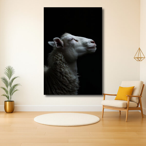 Rustig Schaap in Profiel