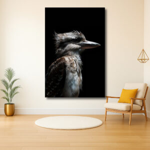 Portret van een IJsvogel op Zwarte Achtergrond