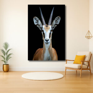 Krachtige blik van een gazelle