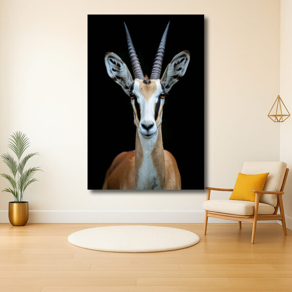 Krachtige blik van een gazelle