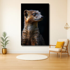 Waakzame Mongoose in de Schaduw