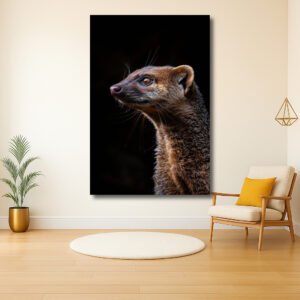 Scherpe Blik van de Mongoose