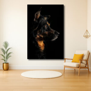 Portret van een hond in schaduw en licht