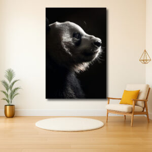 Panda in het zonlicht