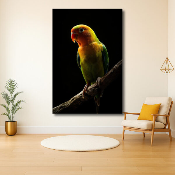 Helderheid van een kleurrijke vogel