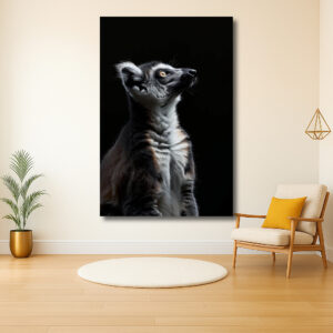 Majestueuze Lemur Tegen Zwarte Achtergrond