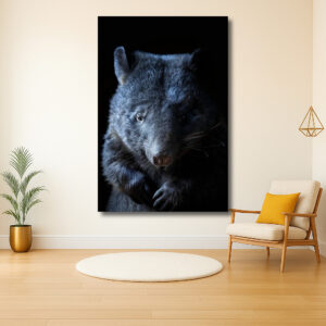 Intrigerende blik van een wombat in het donker