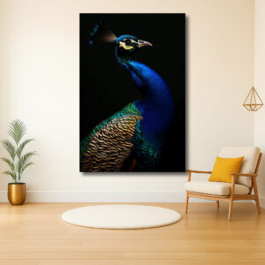 Majestueuze Kleurenpracht van de Pauw