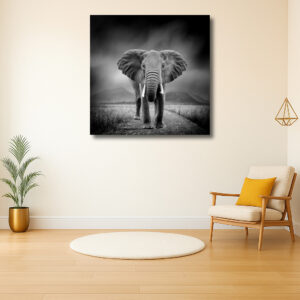 Majestueuze Olifant in Zwart-Wit Landschap