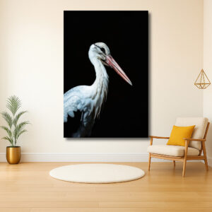 Elegante Witte Vogel in Het Donker