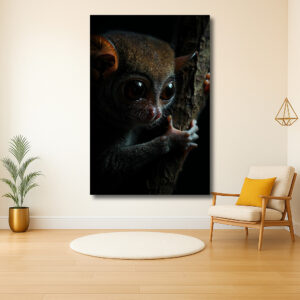 Nachtelijke Blik van de Tarsier