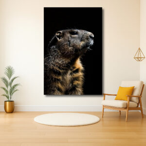 Portret van een marmot in het donker
