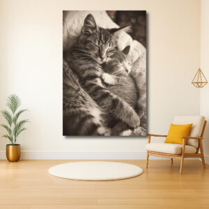 Zachtaardig moment van moeder en kitten