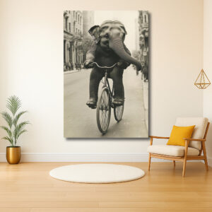 Olifant fietst door de stad