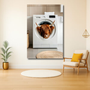 Schotse Hooglander in de Wasmachine