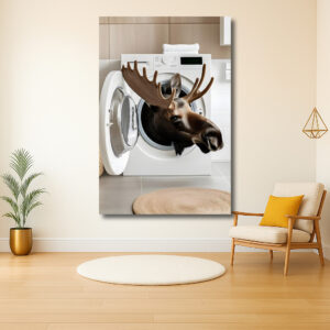 Eland uit de wasmachine