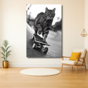 Kattenavontuur op skateboard