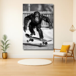 Skateboardende chimpansee in actie
