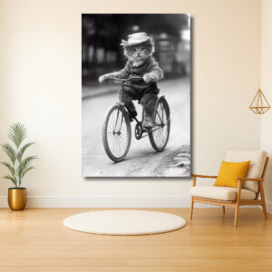 Poes op een fiets met hoedje
