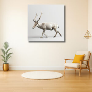 Majestueus rendier met witte vacht