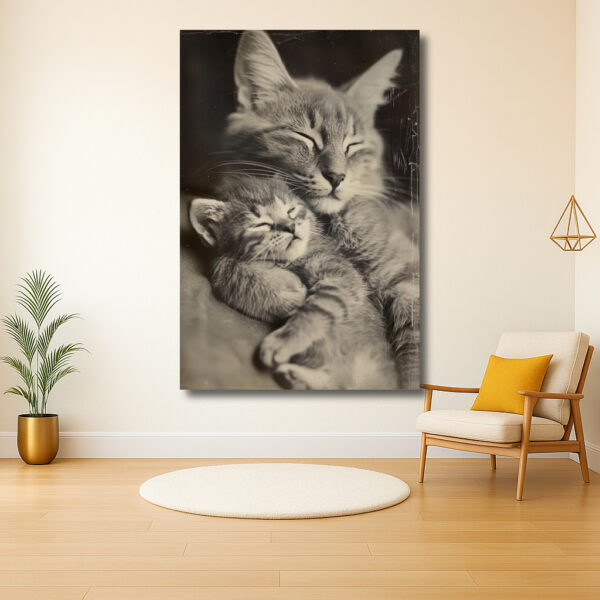 Tedere omhelzing van twee katten