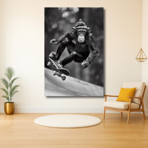 Skatende Chimpansees Met Een Hoed