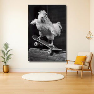 Sportieve kip op skateboard