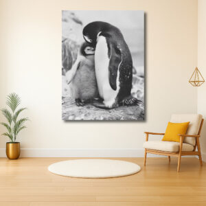 Liefdevolle omhelzing van pinguïns