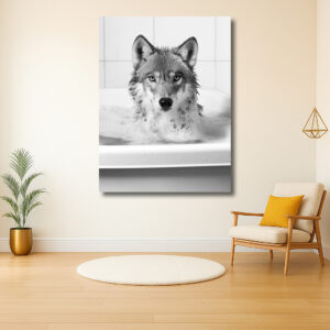 Wolf in het bad: een moment van sereniteit