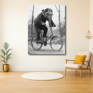 Olifant op Fiets in het Park