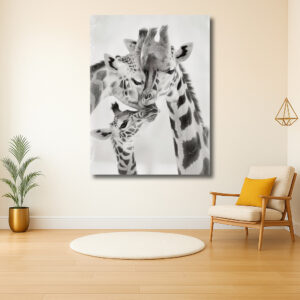 Intieme knuffel tussen giraffen