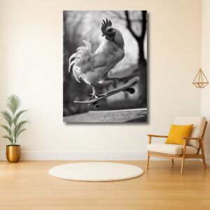 Stoere haan op skateboard