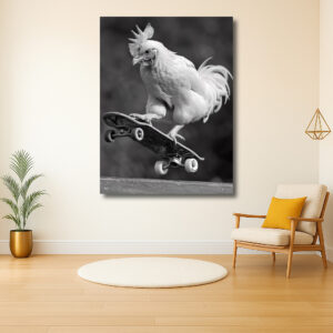 Kip op skateboard in actie