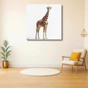 Majestueuze houding van een giraffe