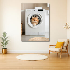 Katachtige nieuwsgierigheid in de wasmachine