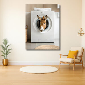 Ezeltje in de wasmachine