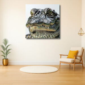 Detailstudie van een krokodil