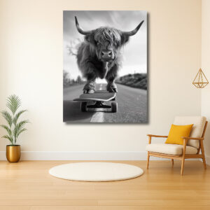 Hooglandkoe op avontuur met skateboard