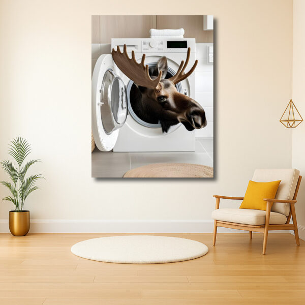 Eland in de wasmachine