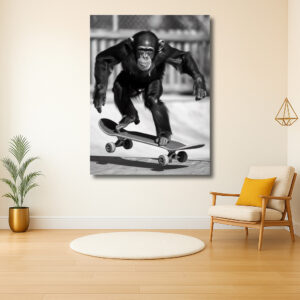 Skateboardende Chimpanzee in Actie