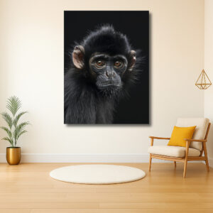 Portret van een jonge aap