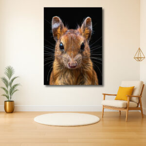 Intrigerend portret van een klein zoogdier