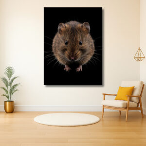 Portret van een schattige muis