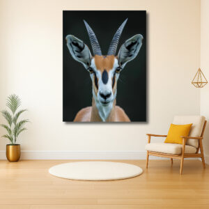 Majestueuze Gazelle in het Wild