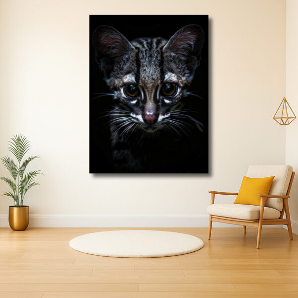 Mysterieuze Kat In Het Donker