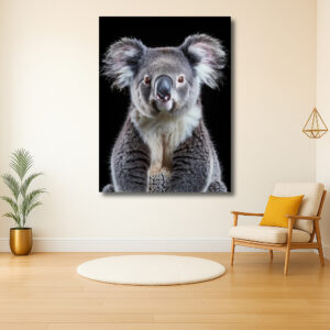 Koala met hypnotiserende blik