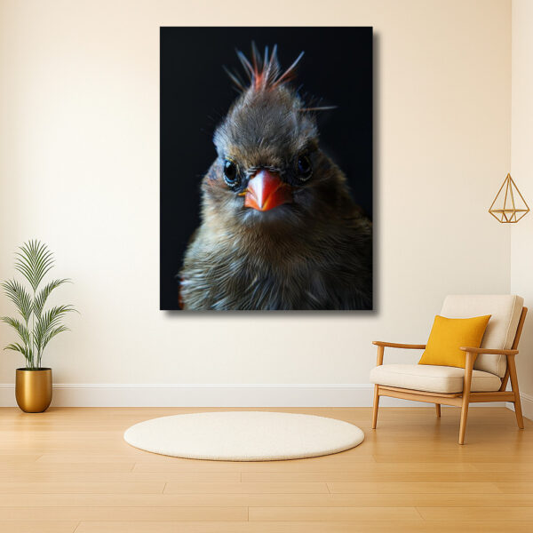 In de Ogen van een Vogeltje