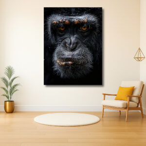 De Indringende Blik van de Chimpansee